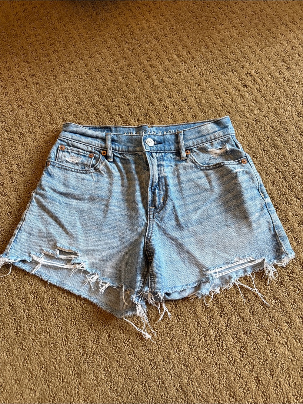 American Eagle Outfitters Light Blue Distressed Denim Shorts